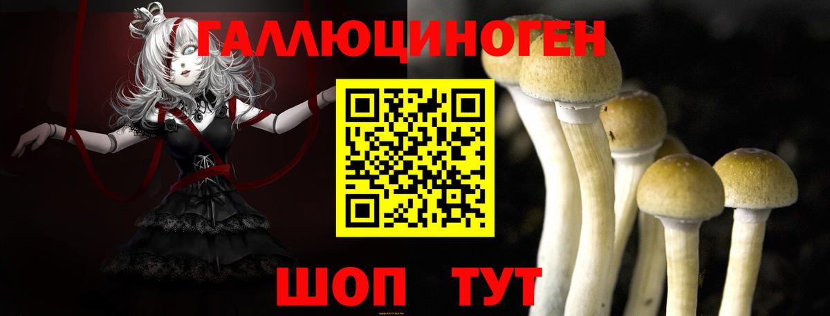 Ноябрьск  Псилоцибиновые грибы GOLDEN TEACHER  Галлюциногенные грибы Magic Shrooms  Вход с VPN 